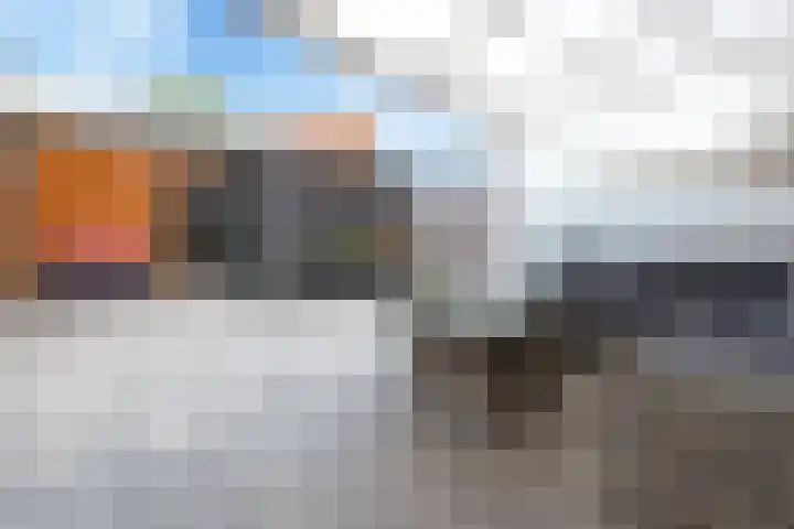 Nagelkruid 4 Amersfoort thumbnail 26