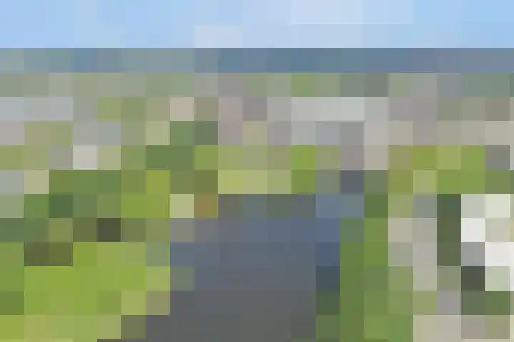 Nagelkruid 4 Amersfoort thumbnail 31