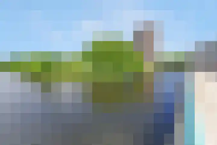 Nagelkruid 4 Amersfoort thumbnail 33