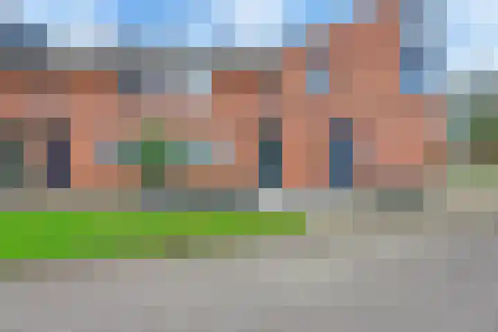 Nagelkruid 4 Amersfoort thumbnail 6