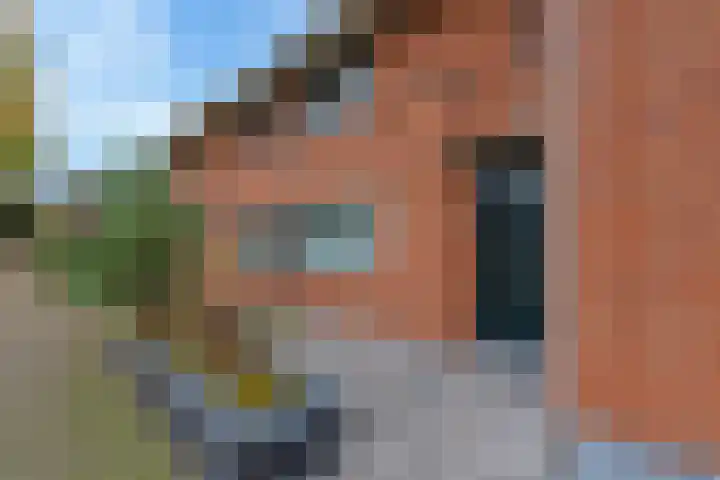 Nagelkruid 4 Amersfoort thumbnail 7