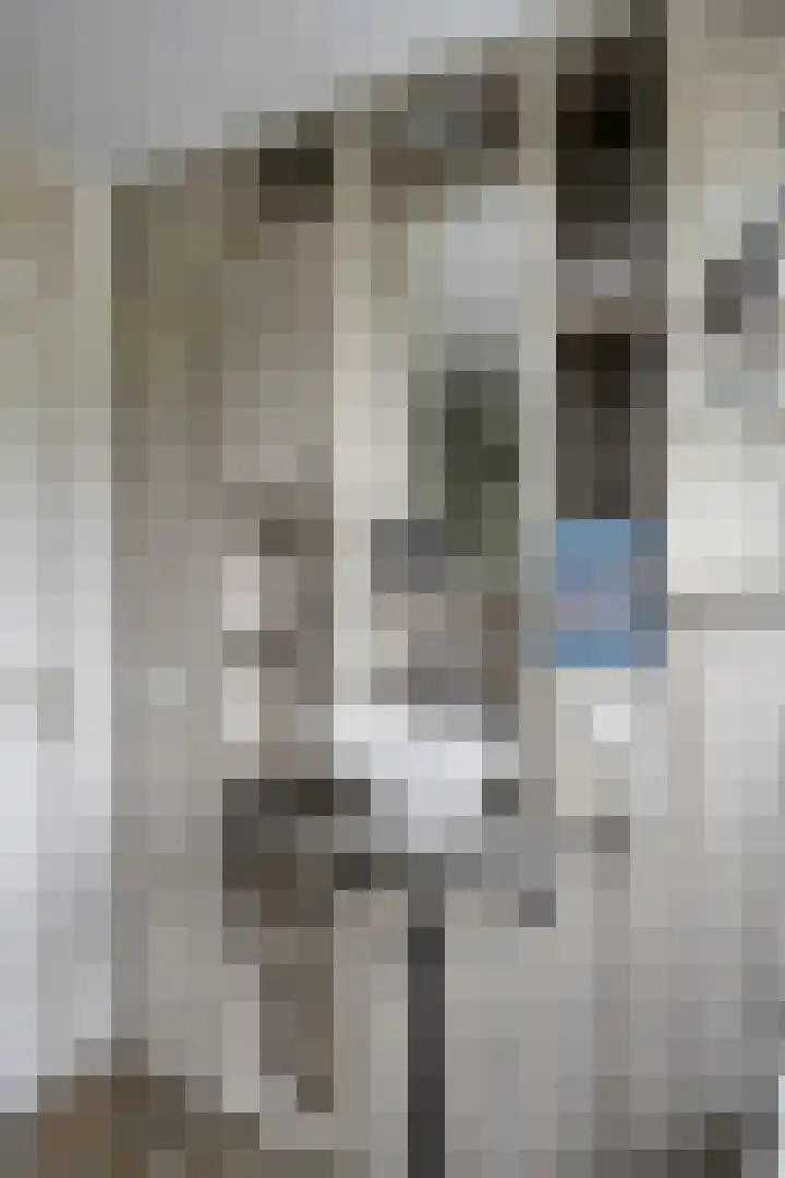 Nagelkruid 48 Cuijk thumbnail 21