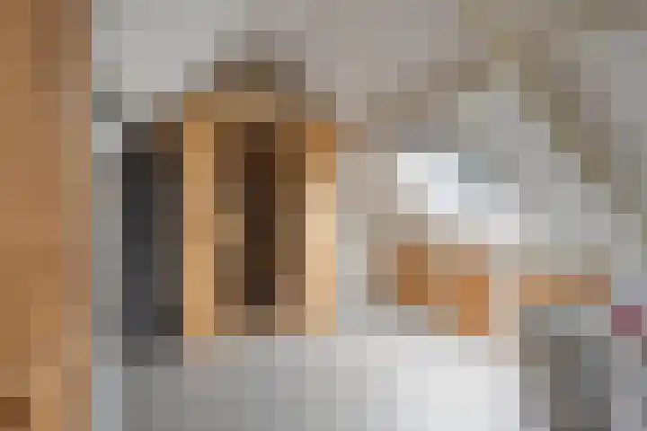 Nagelkruid 48 Cuijk thumbnail 26