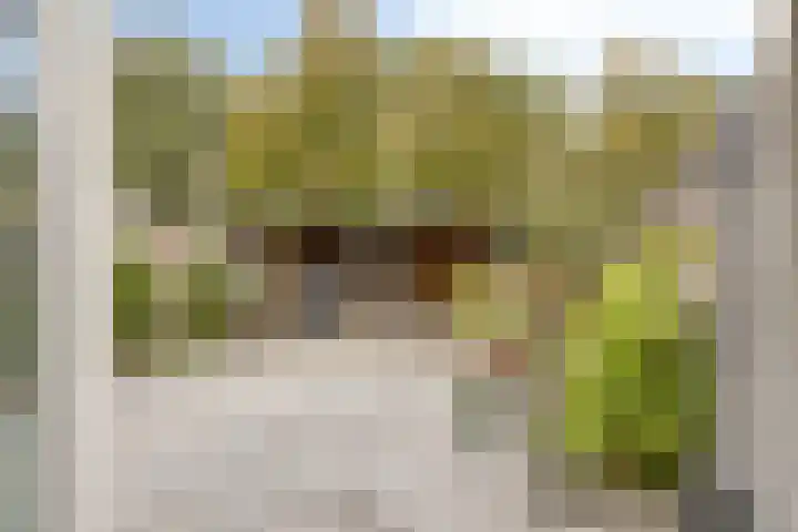 Nagelkruid 48 Cuijk thumbnail 27