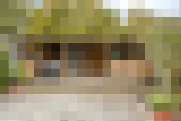 Nagelkruid 48 Cuijk thumbnail 29