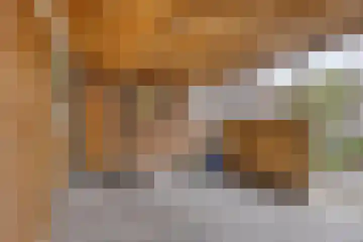 Nagelkruid 48 Cuijk thumbnail 31