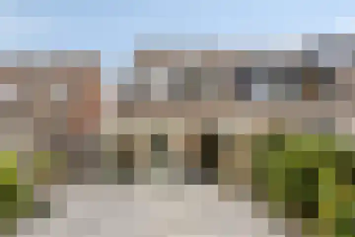 Nagelkruid 48 Cuijk thumbnail 32