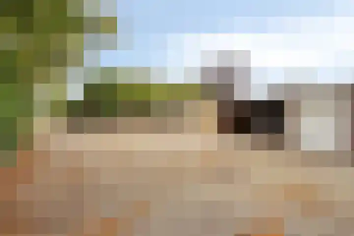 Nagelkruid 48 Cuijk thumbnail 33