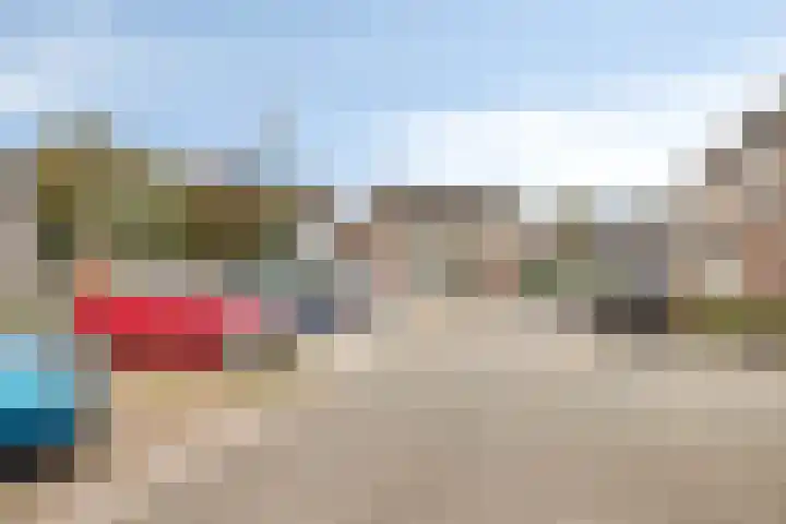 Nagelkruid 48 Cuijk thumbnail 35