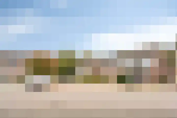 Nagelkruid 48 Cuijk thumbnail 4