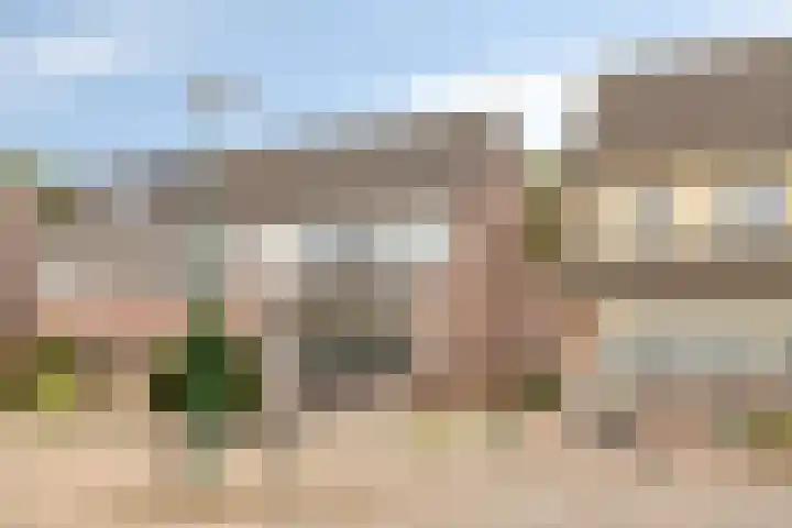 Nagelkruid 48 Cuijk thumbnail 5