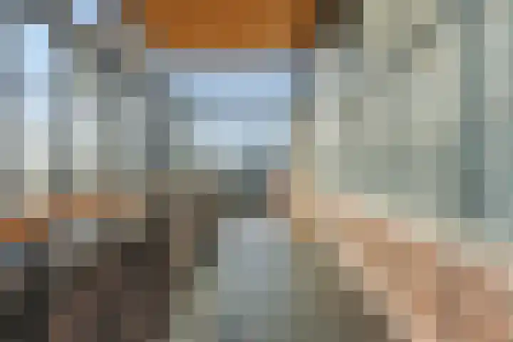 Nagelkruidstraat 68 Rotterdam thumbnail 28