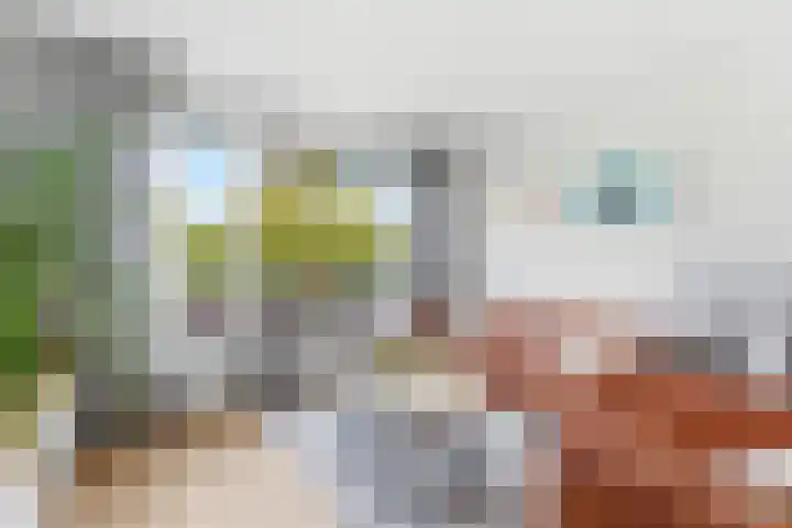 Nagelkruidstraat 68 Rotterdam thumbnail 6