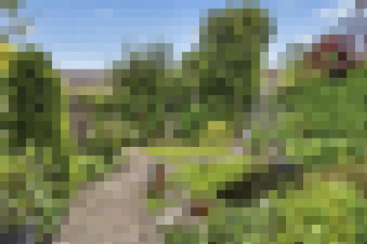 Nagelserf 6 Ermelo thumbnail 31