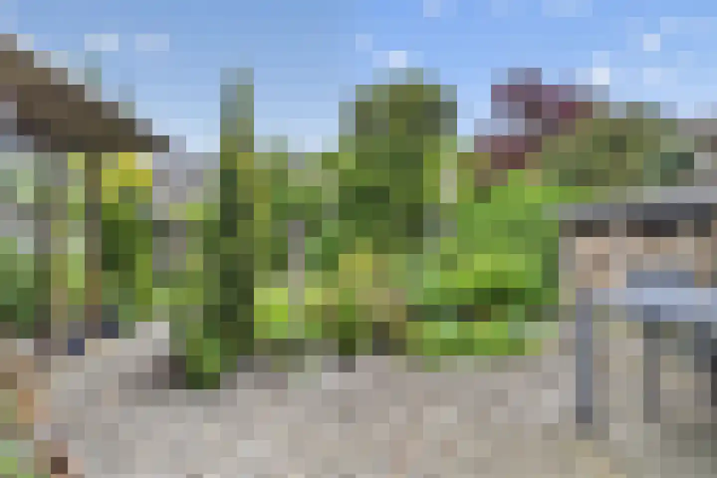Nagelserf 6 Ermelo thumbnail 32