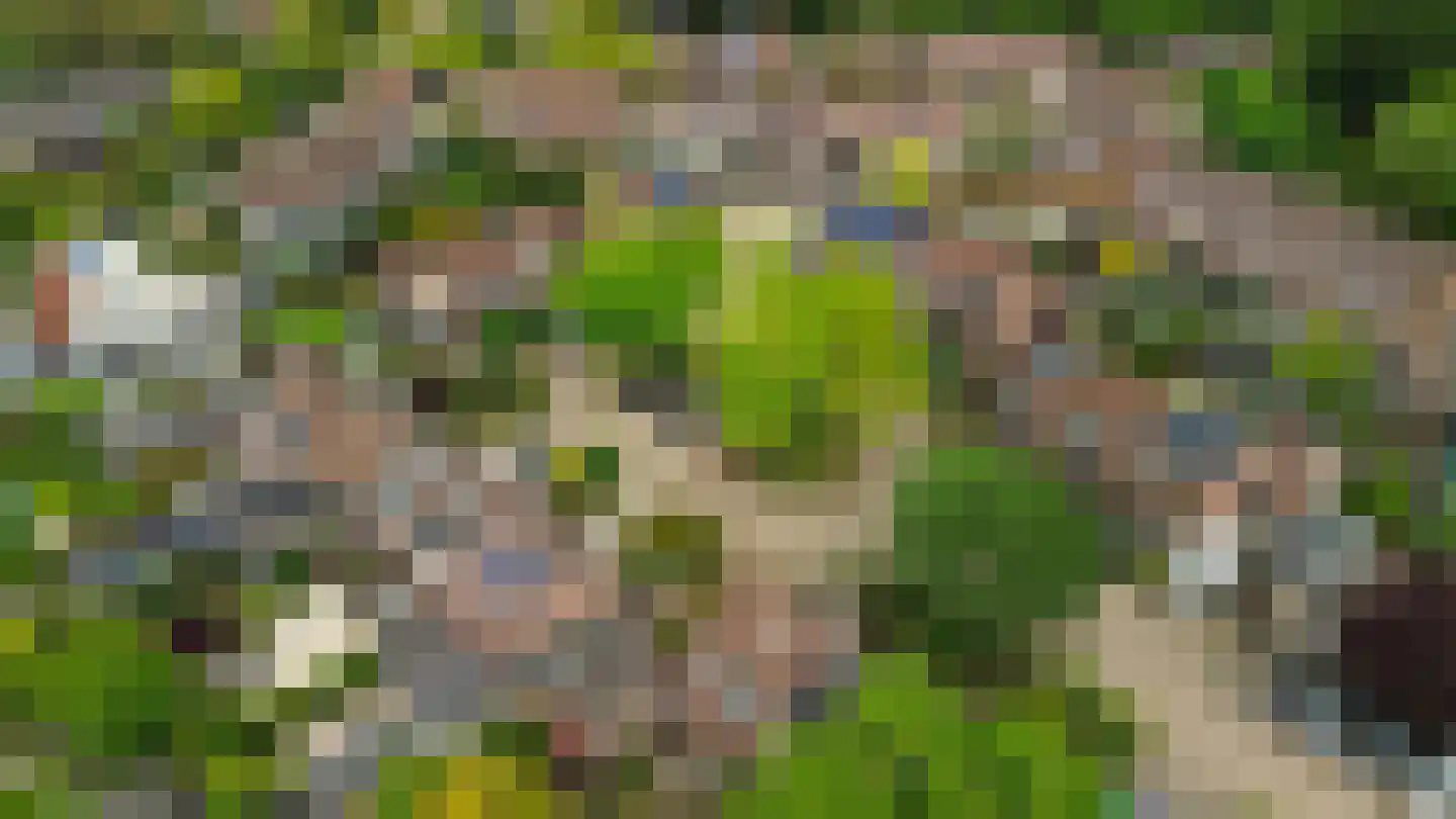 Nagelserf 6 Ermelo thumbnail 40
