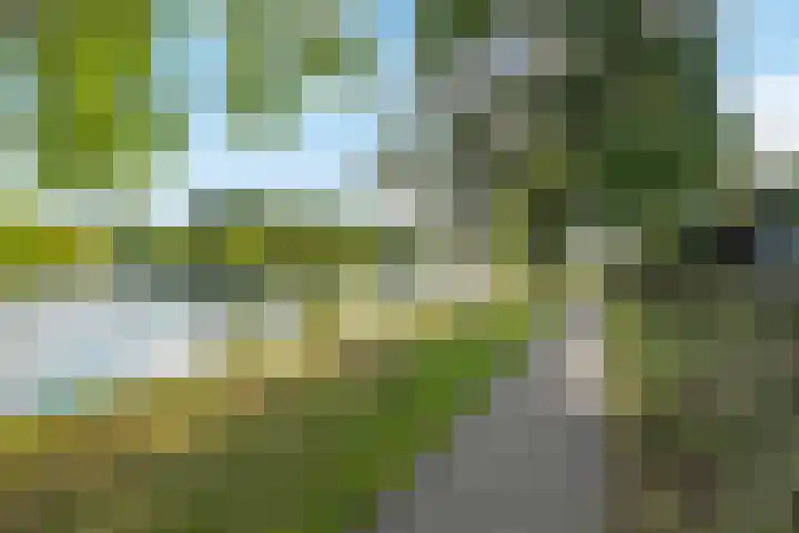 Nagtegaalplaats 121 Dordrecht thumbnail 27