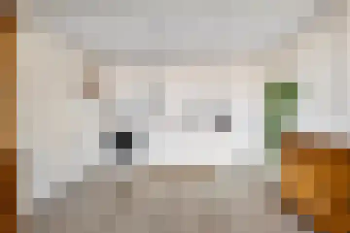 Nagtegaalplaats 121 Dordrecht thumbnail 8