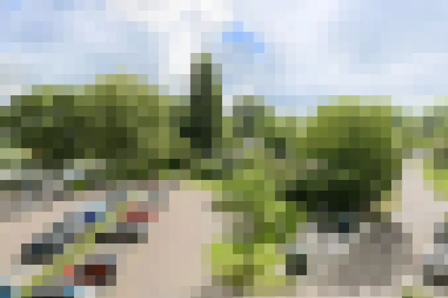 Nagtegaalplaats 123 Dordrecht thumbnail 23