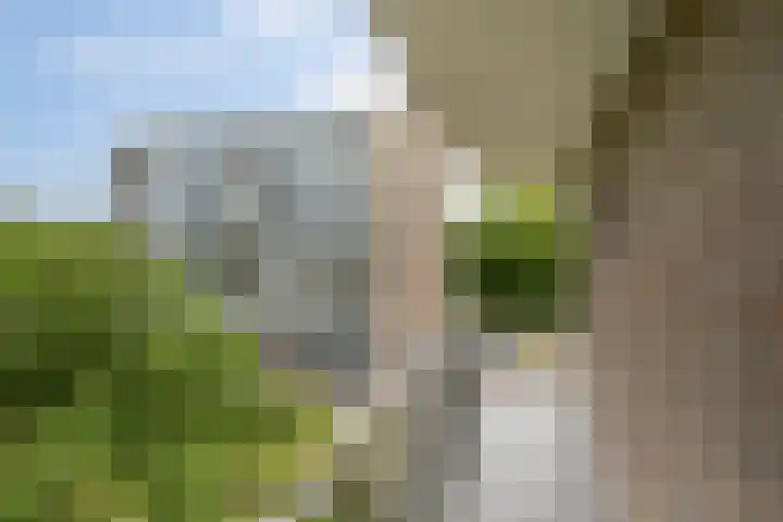 Nagtegaalplaats 127 Dordrecht thumbnail 17