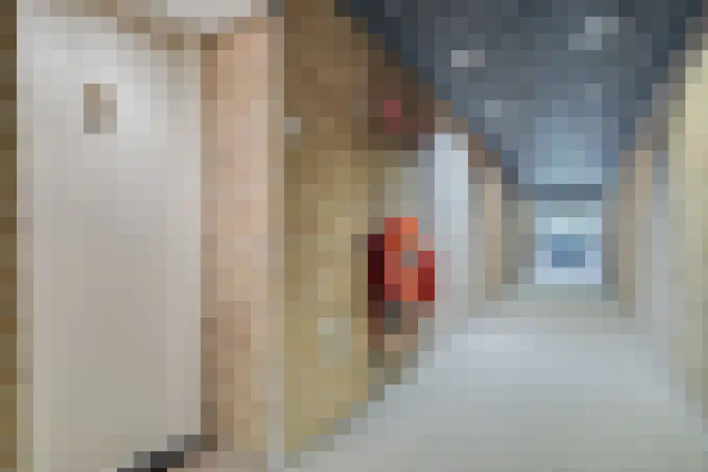 Nagtegaalplaats 17 Dordrecht thumbnail 6