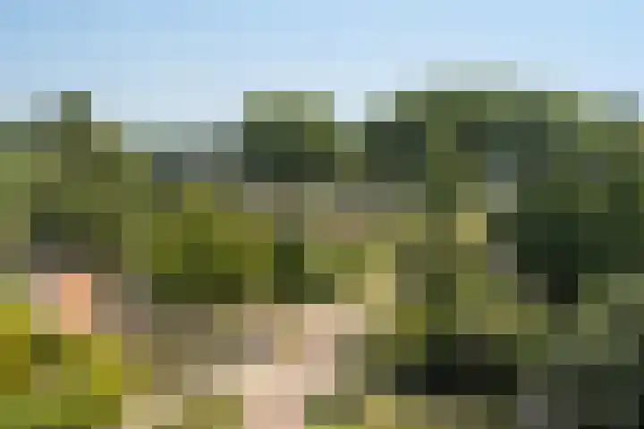 Nagtegaalplaats 171 Dordrecht thumbnail 22