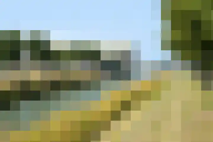 Nagtegaalplaats 171 Dordrecht thumbnail 37