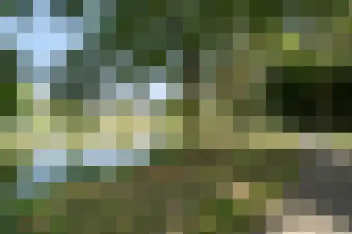 Nagtegaalplaats 171 Dordrecht thumbnail 38