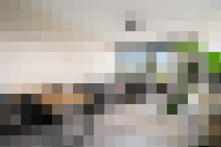 Nagtegaalplaats 171 Dordrecht thumbnail 7