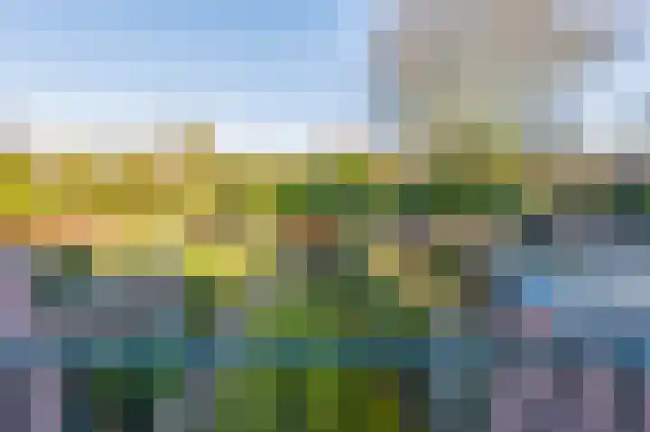 Nagtglaslaan 14 Naarden thumbnail 24