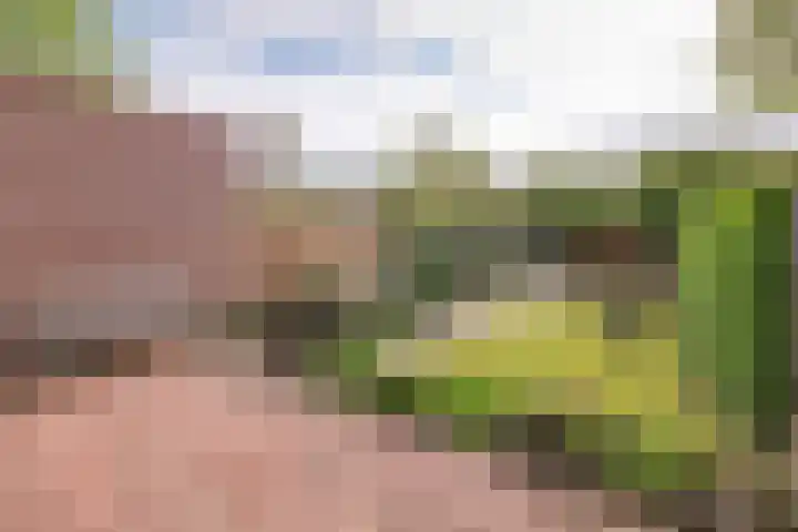 Nagtglaslaan 14 Naarden thumbnail 31