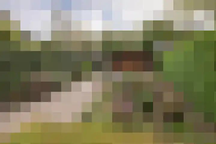 Nagtglaslaan 14 Naarden thumbnail 32