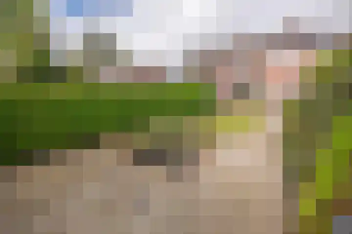Nagtglaslaan 14 Naarden thumbnail 35