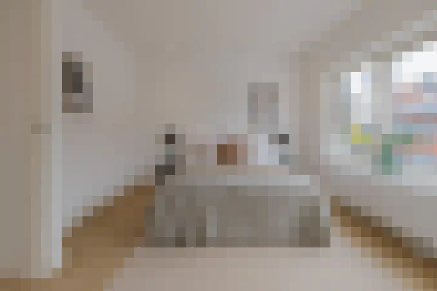 Nagtzaamstraat 72 Haarlem thumbnail 29