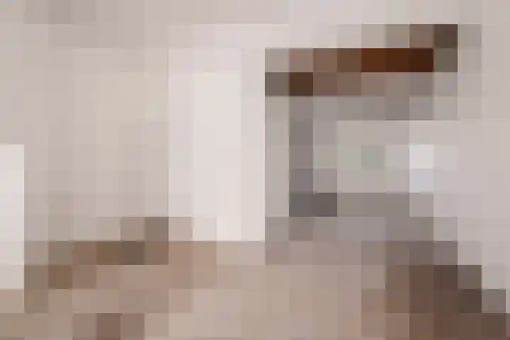 Nagtzaamstraat 72 Haarlem thumbnail 6
