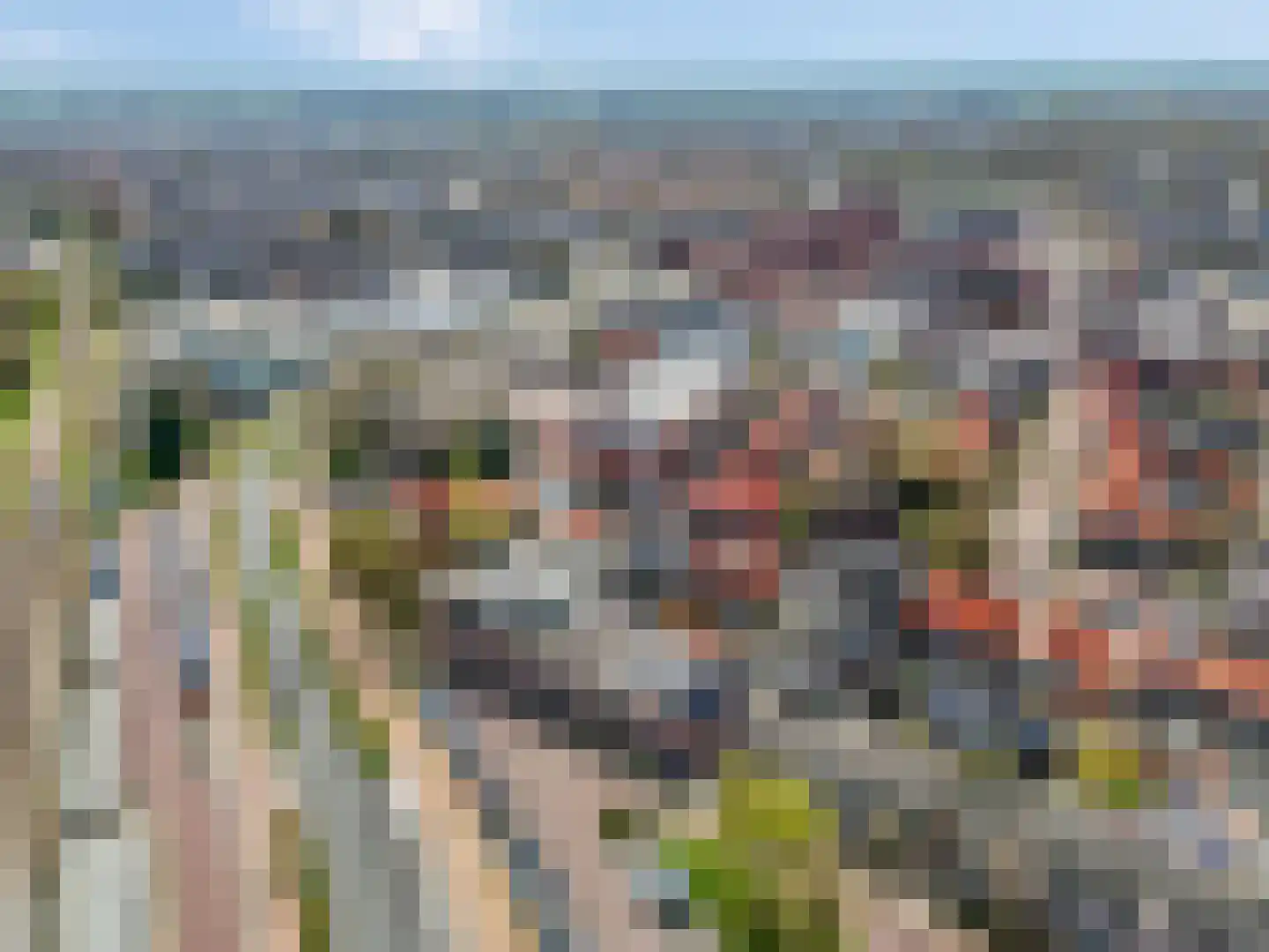 Nairacstraat 27 Barneveld thumbnail 4