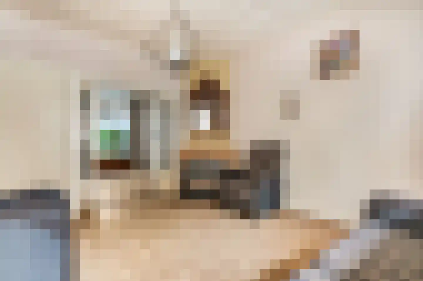 Nairacstraat 27 Barneveld thumbnail 9