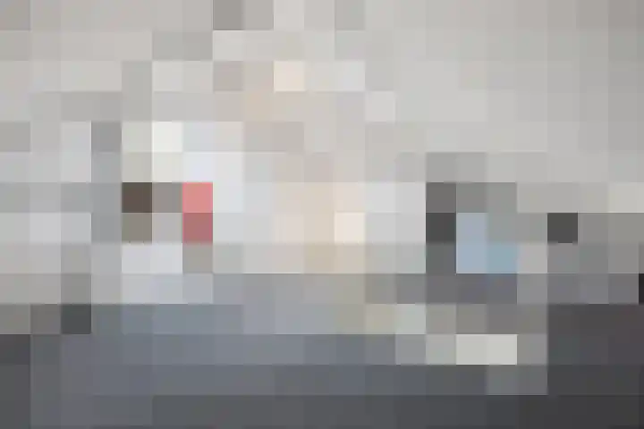 Nairacstraat 39 Barneveld thumbnail 30
