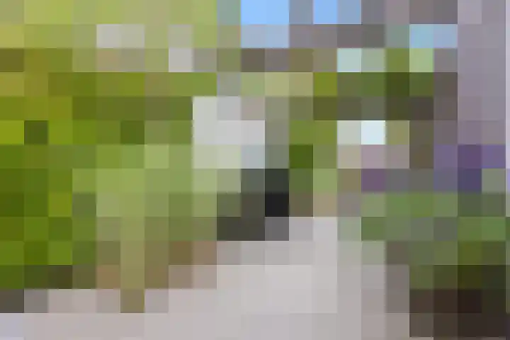 Nairacstraat 39 Barneveld thumbnail 33