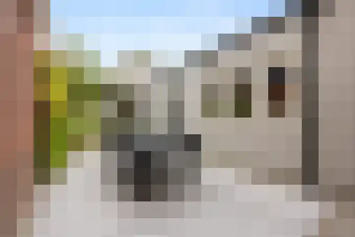 Nairacstraat 39 Barneveld thumbnail 34