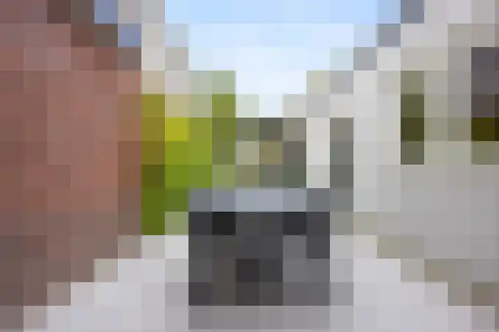 Nairacstraat 39 Barneveld thumbnail 36