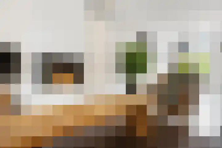 Nairacstraat 39 Barneveld thumbnail 9