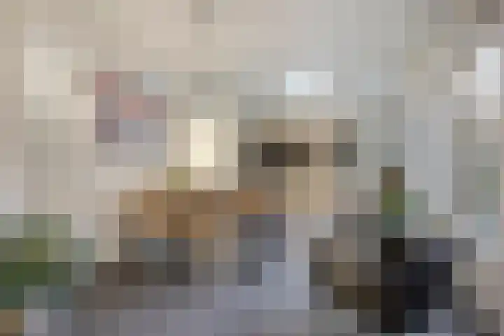 Nairacstraat 9 Barneveld thumbnail 12