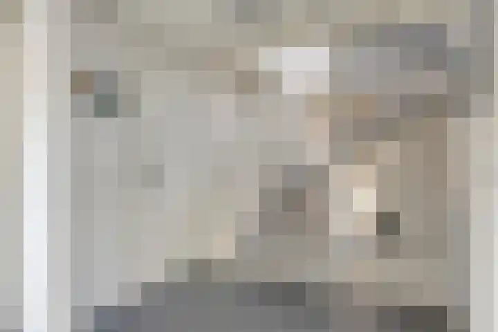 Nairacstraat 9 Barneveld thumbnail 16