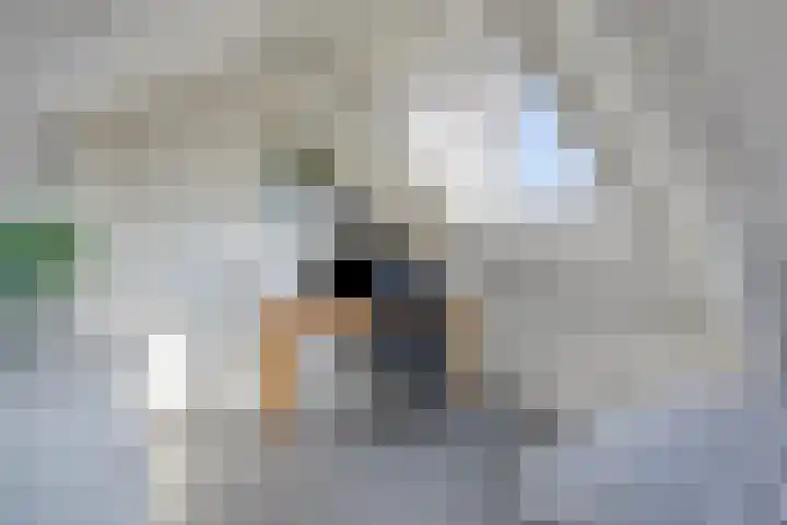 Nairacstraat 9 Barneveld thumbnail 30