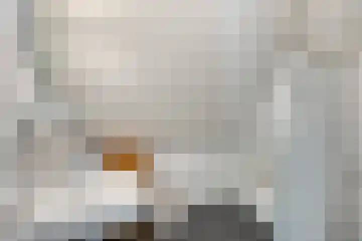 Nairacstraat 9 Barneveld thumbnail 33