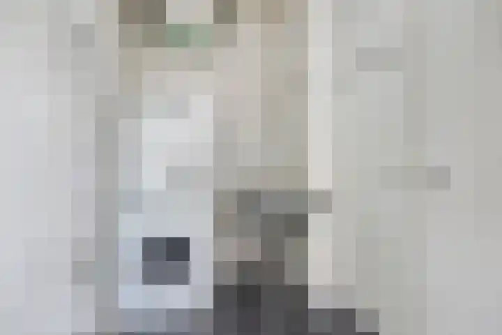 Nairacstraat 9 Barneveld thumbnail 35
