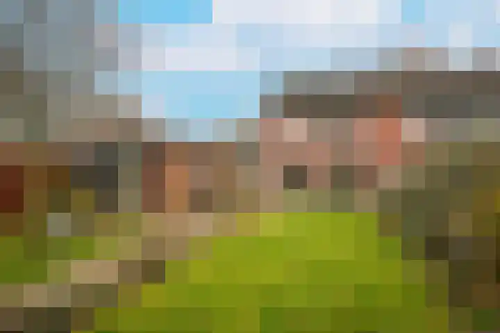 Nalenshof 16 Beesd thumbnail 24