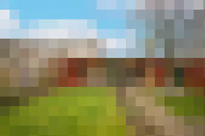 Nalenshof 16 Beesd thumbnail 27