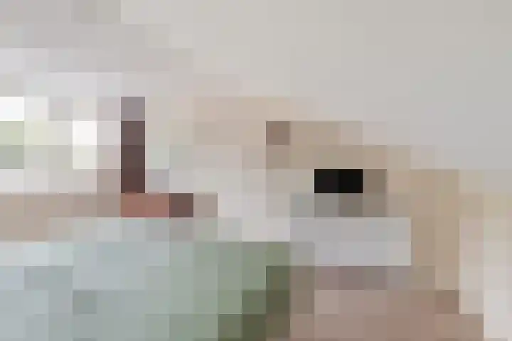 Namenstraat 53 Breda thumbnail 35